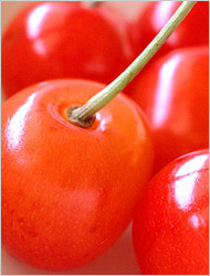 さくらんぼの画像