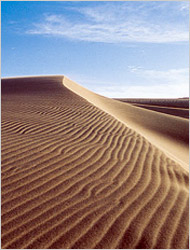 鳥取砂丘の画像