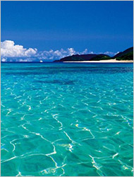 沖縄の海の画像
