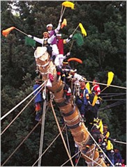諏訪大社御柱祭りの画像